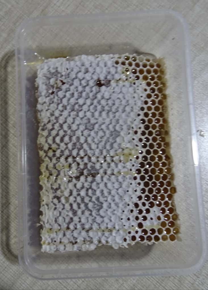 Comb honey